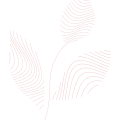 elvalaszto flower hydrafacial elvalaszto hydroabrasion flower