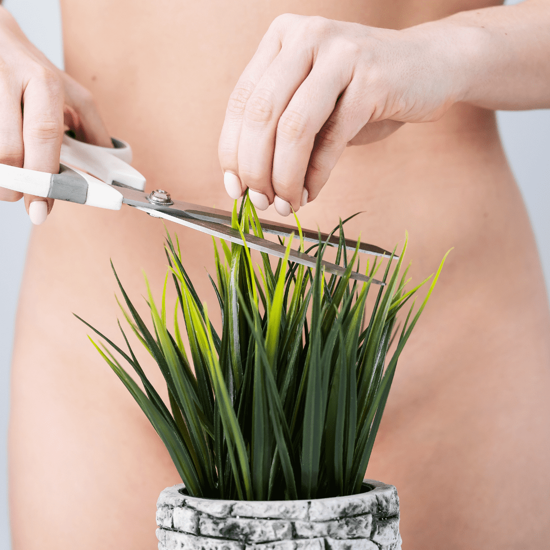 Bikinizone Laserhaarentfernung